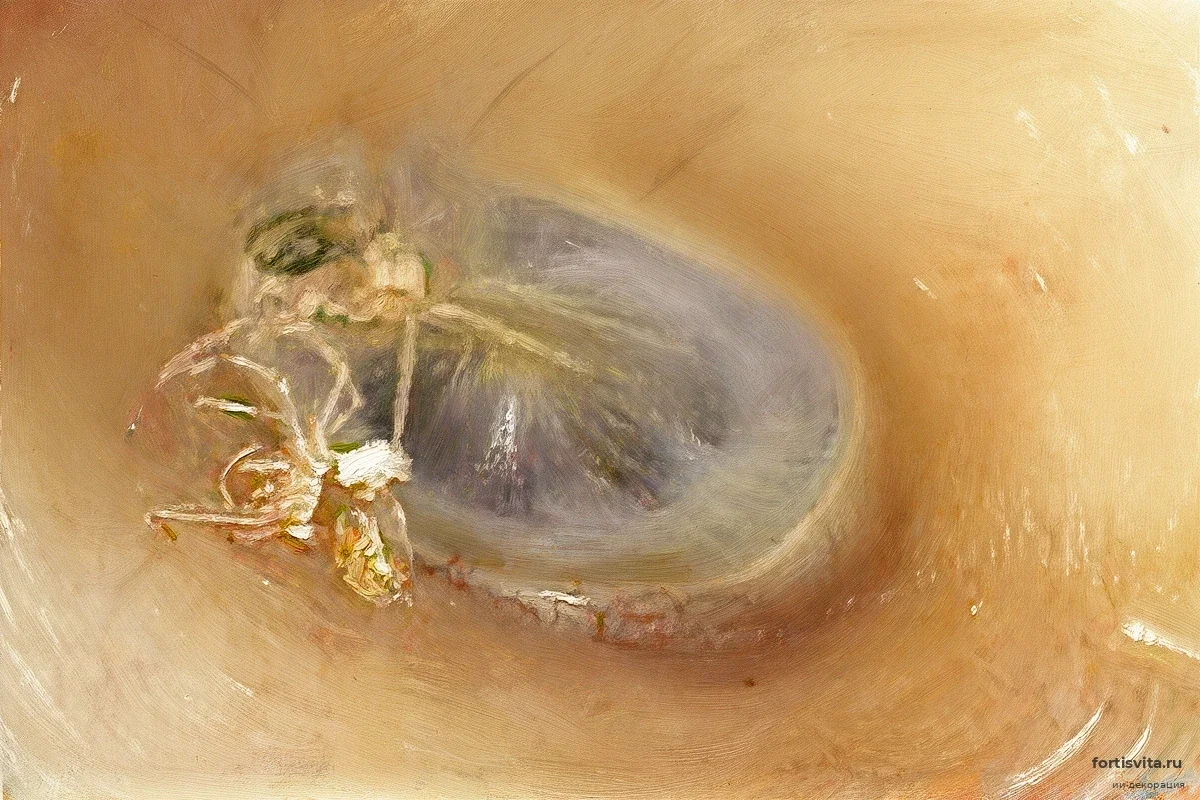 Врачи нашли причину заложенности уха пациентки в месте, где она ничего не чувствовала