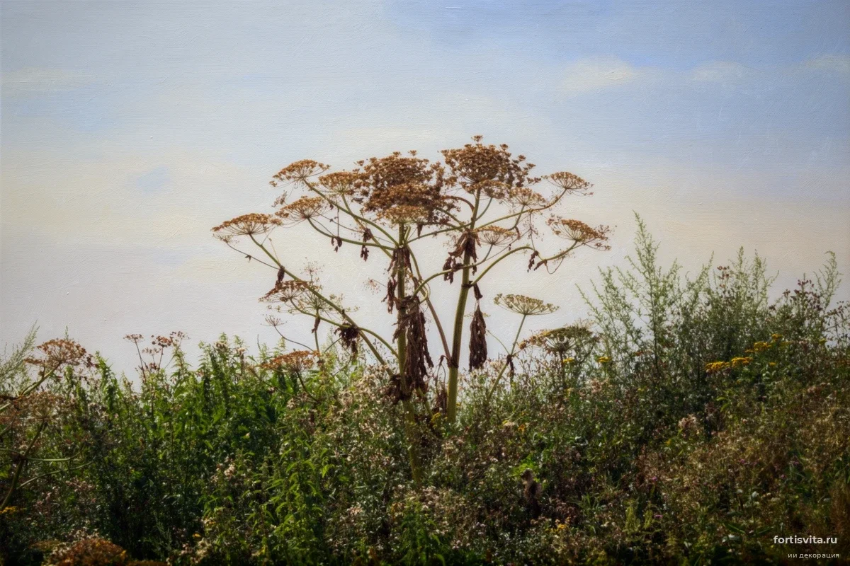 Врачи Красногорска объяснили, как обычный контакт с борщевиком лишает зрения